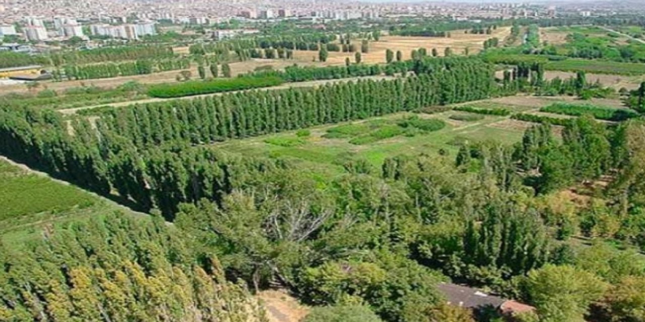 Atatürk Orman Çiftliği ihaleye çıkıyor