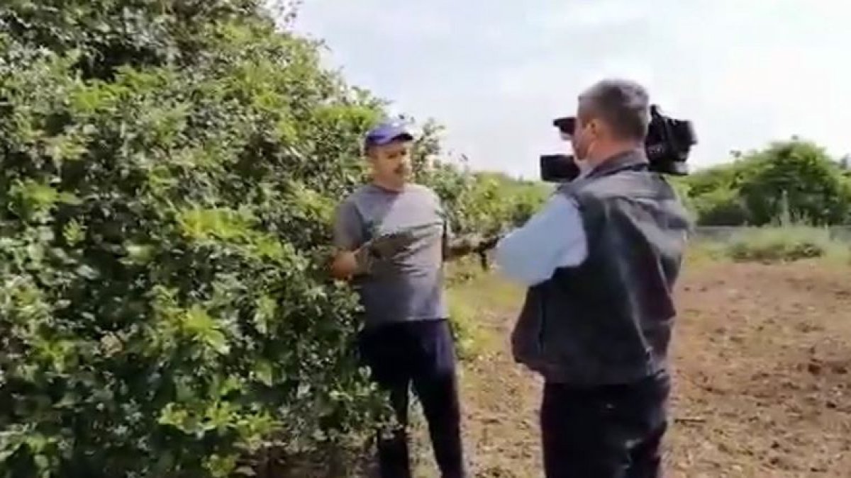 Ekrem İmamoğlu'na 'limon kumpası'nda yeni gelişme