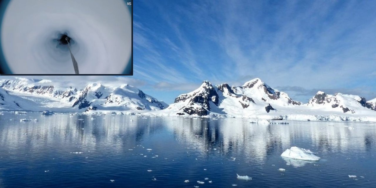 Antarktika'da yeni deniz canlıları keşfedildi