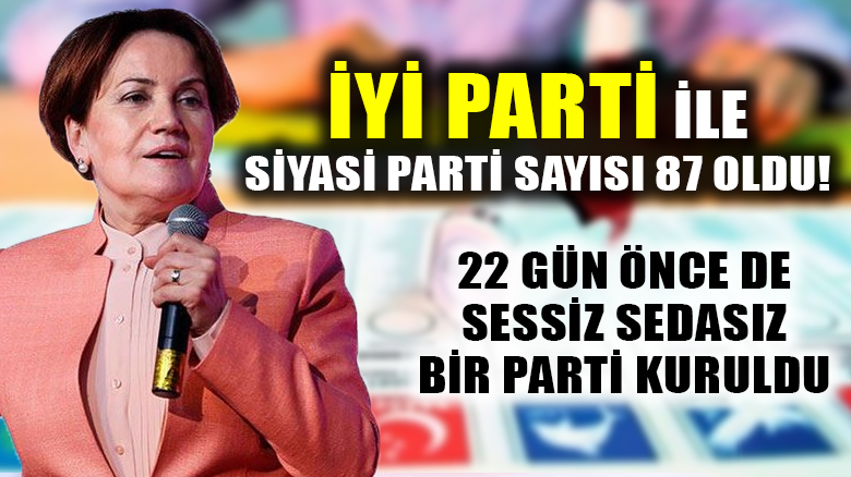 Meral Akşener'in İYİ Partisi, Türkiye'nin faaliyetteki 87. partisi oluyor