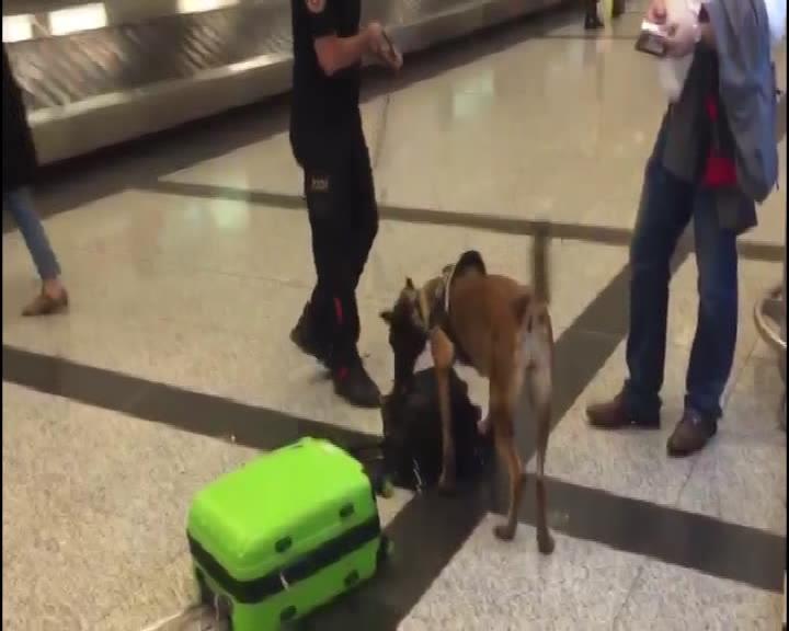 Alman yolculara havalimanında köpekli arama: Mütekabiliyet uygulandı