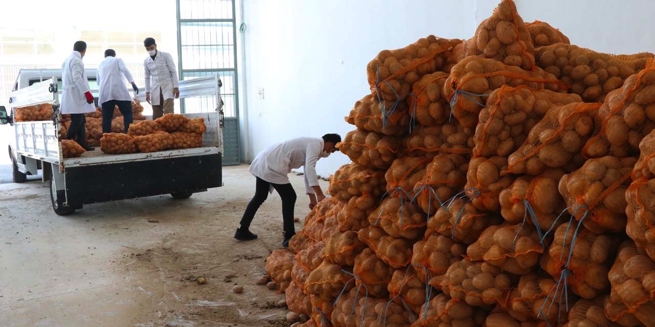 Patates krizi: 60 kuruşa bile satılamadı