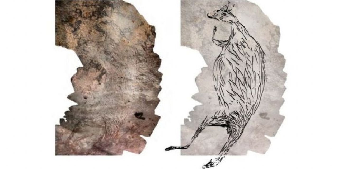 Avusturalya'da bir mağarada 17 bin yıllık resim keşfedildi