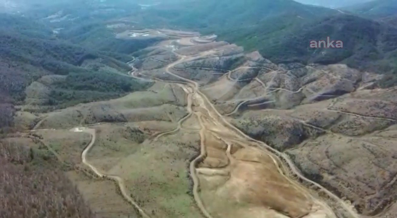 350 bin ağaç kesildikten sonra altın araması iptal edildi