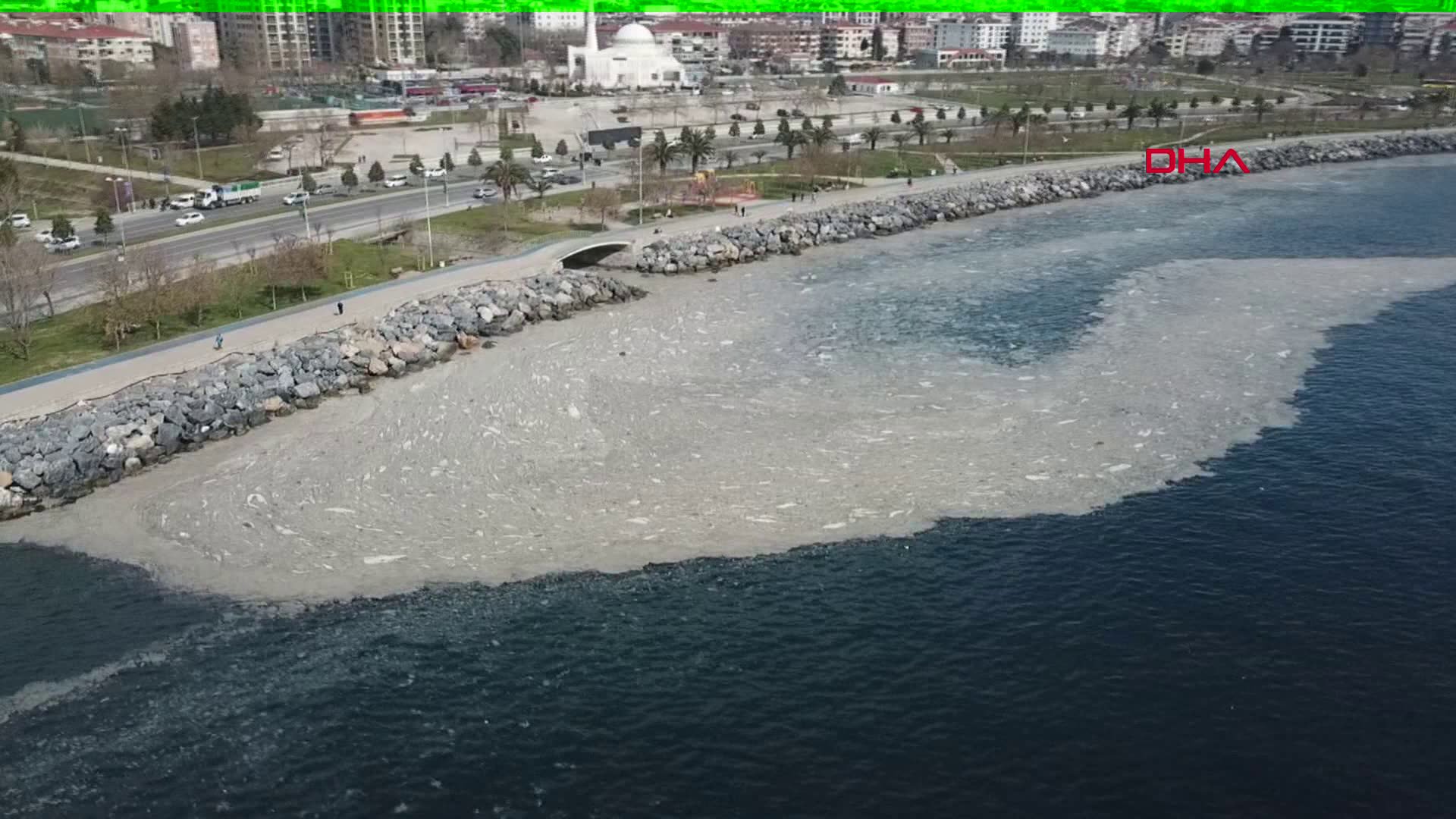 İstanbul sahilini saran kirlilik "deniz salyası" çıktı