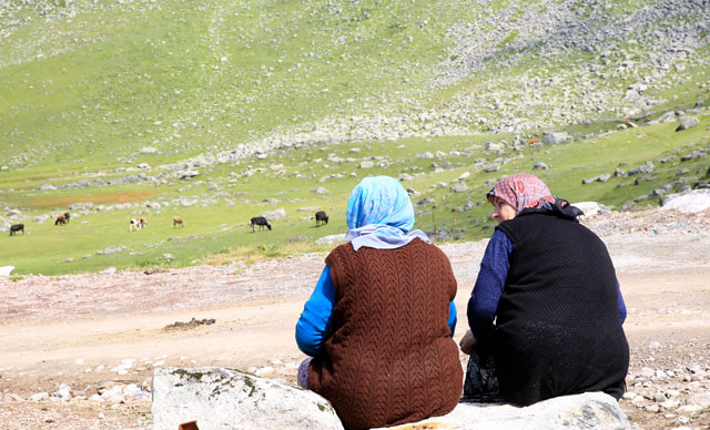 Karadeniz’de vakalar aynı soyadlarda kümeleniyor