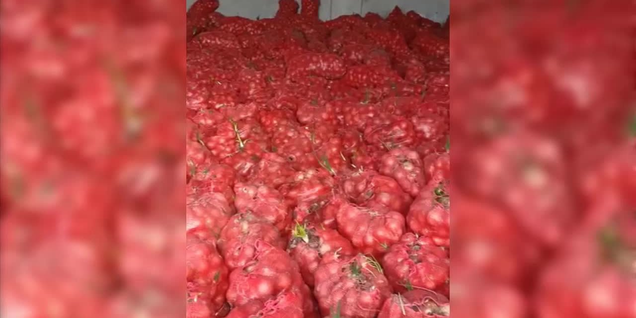 20 kuruştan satamadığı 70 ton soğan depoda yeniden filizlendi