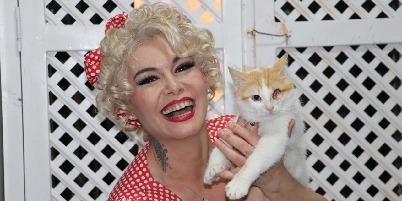'Mardinli Monroe' kedi sığınma evi kurdu
