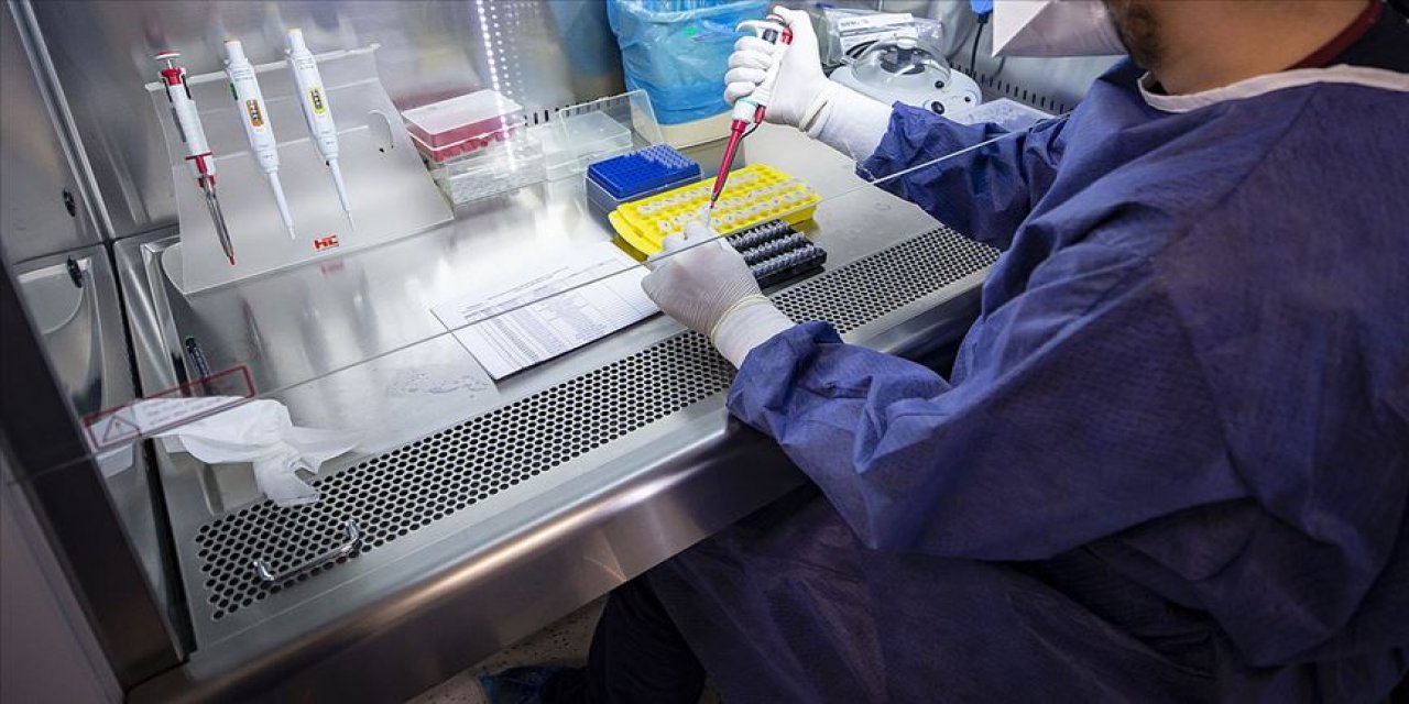PCR testlerinde 'yalancı negatif' uyarısı