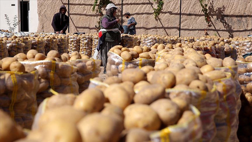 Ali Ekber Yıldırım: Hükümetin soğan ve patates alım rakamları gerçek değil