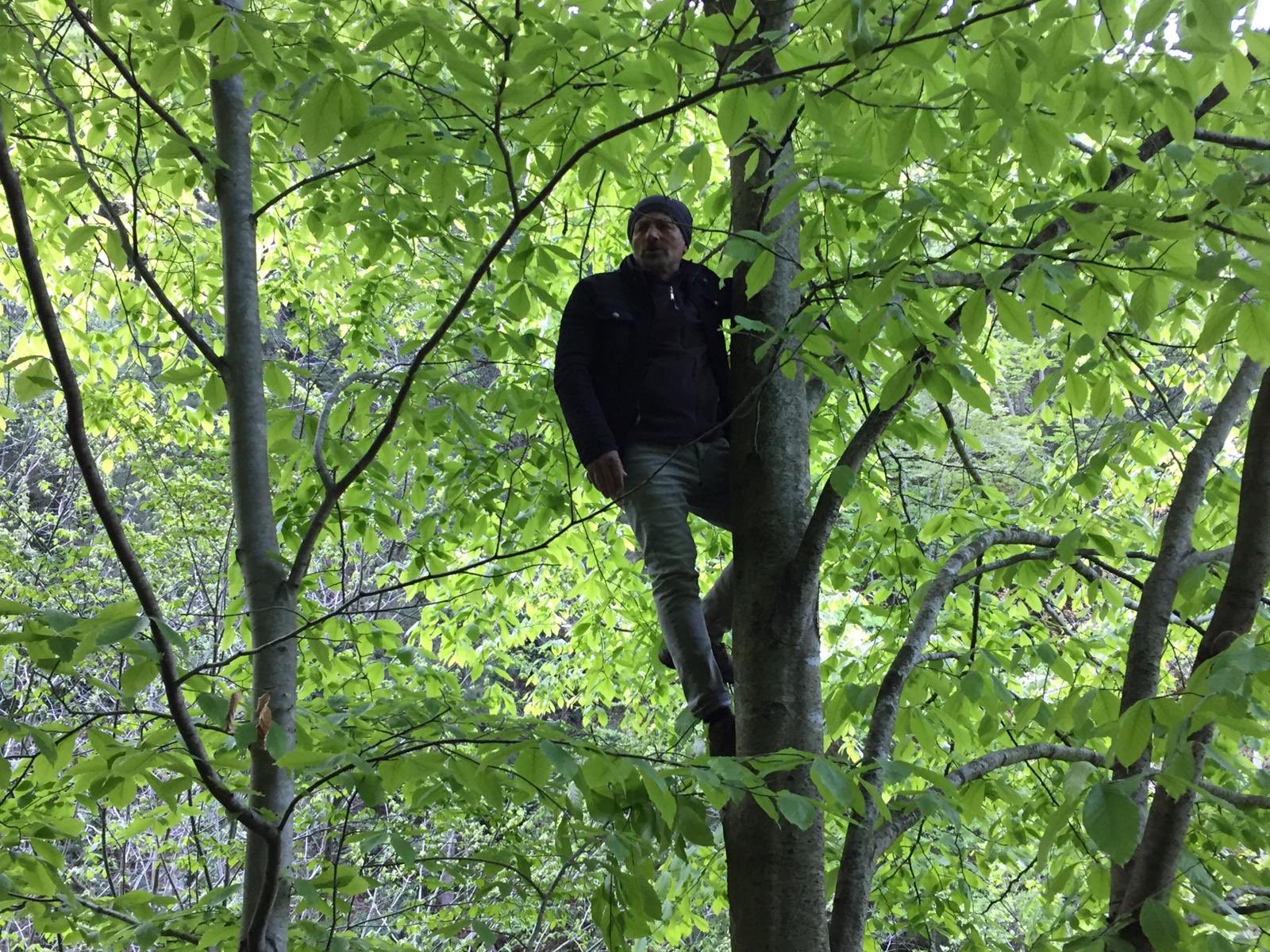 İkizdere direnişi yedinci gününde ağaçlarda sürüyor