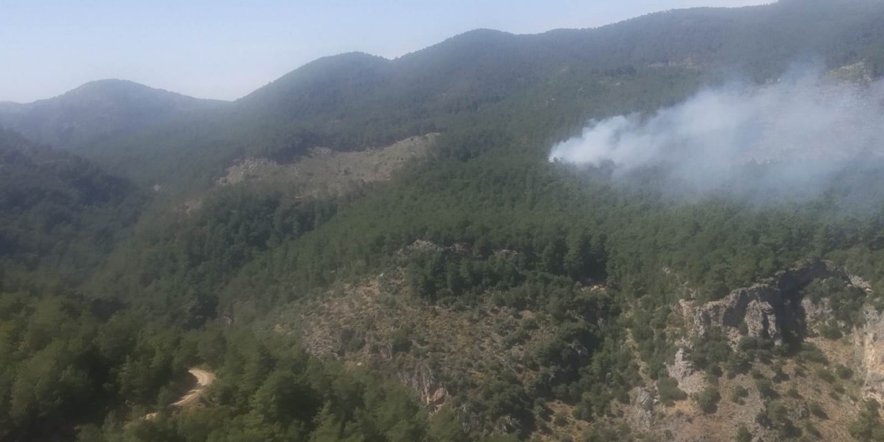 Muğla'nın Ortaca ilçesinde orman yangını