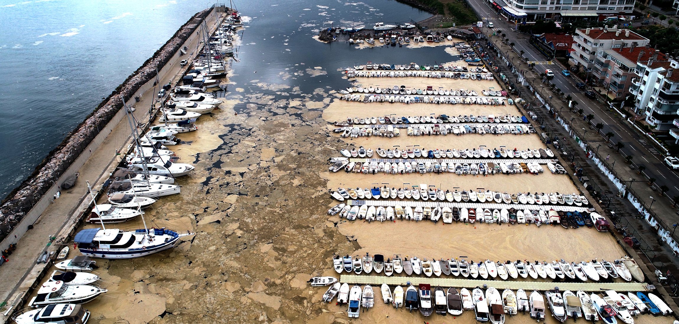 Marmara Denizi'nde salya araştırması: Kısa vadeli çözüm imkansız