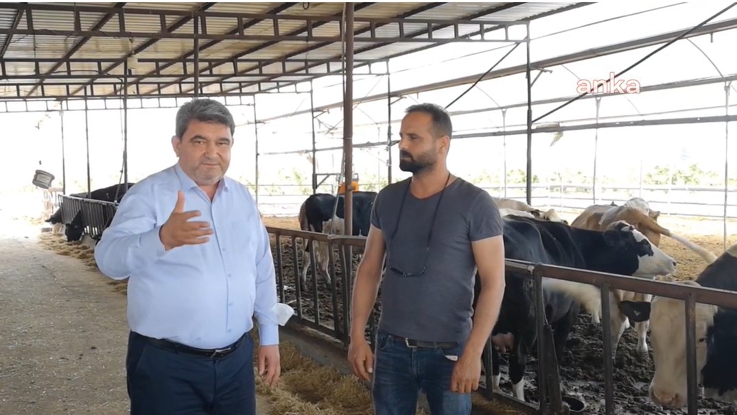 Süt üreticileri hayvanlarını satmaya başladı
