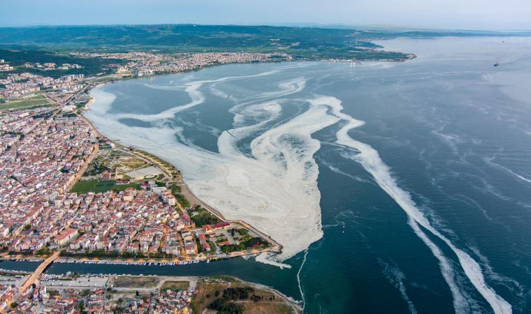 Deniz salyasından gübre, tarım ilacı ve temizlik malzemesi yapmak hedefleniyor