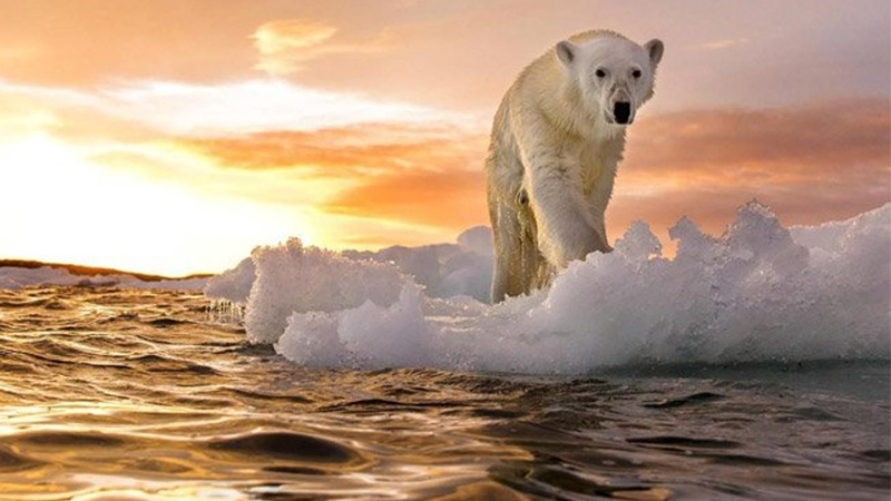 2011-2021 dünyanın en sıcak 10 yılı oldu