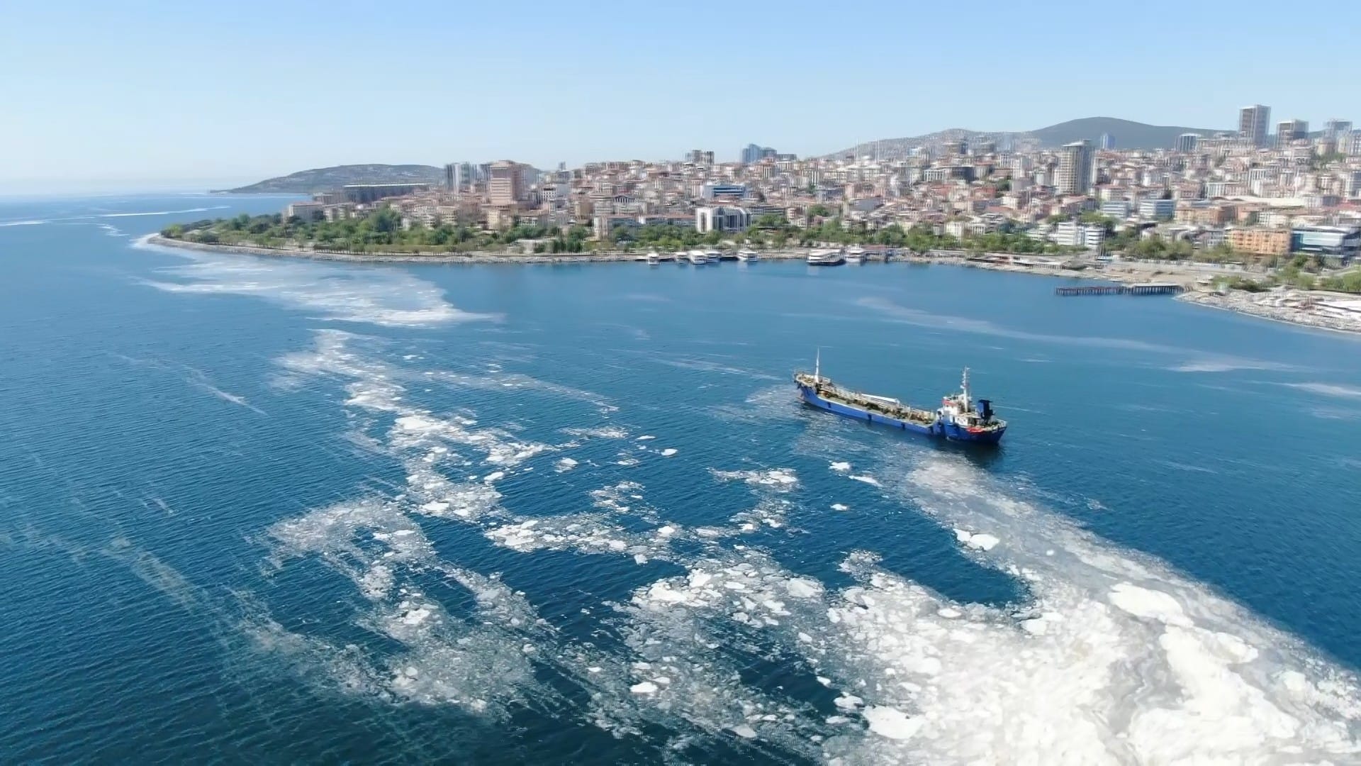 İstanbul sahillerini istila eden deniz salyalarında yoğunluk arttı