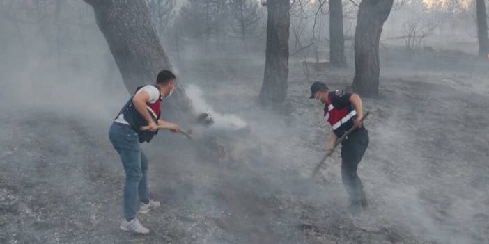 Eskişehir’de orman yangını