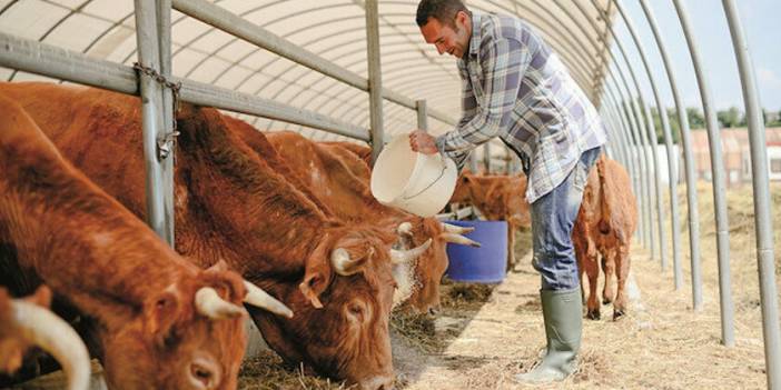 Hayvancılık işletmelerini destekleme kararı Resmi Gazete'de