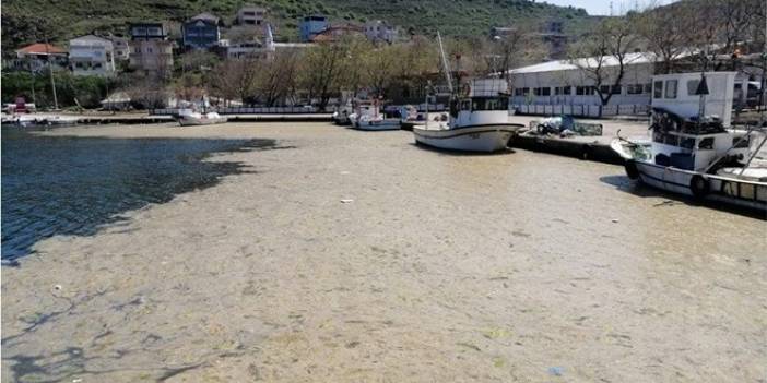 Bilim insanları Marmara'ya açıldı