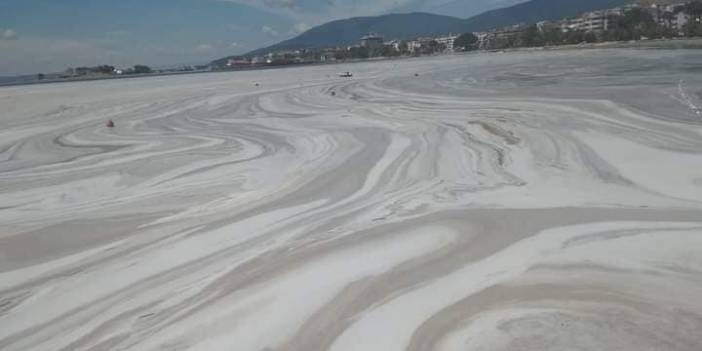 Erdek Sahili'ni deniz salyası kapladı