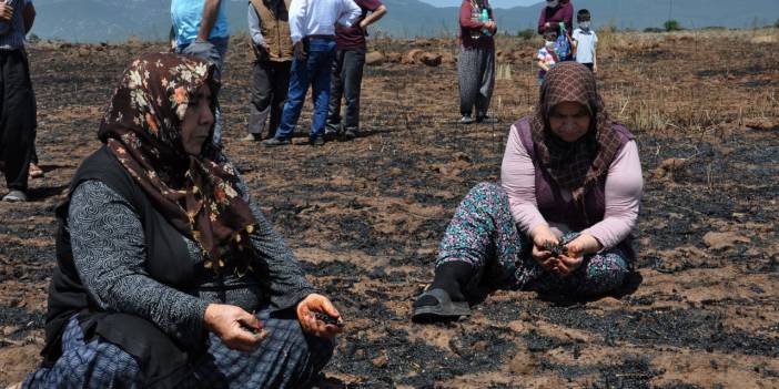 Bir yıllık emekleri kül oldu