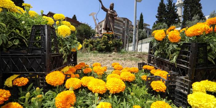 Buca'nın sokakları çiçek açtı