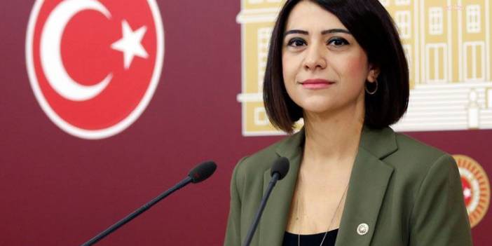 CHP'li Taşçıer: 750 milyon dolarlık kredinin akıbeti açıklanmalı