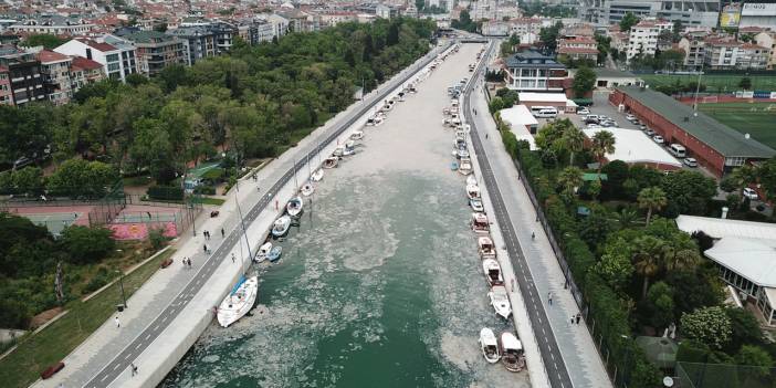 Kadıköy’ü deniz salyası kapladı