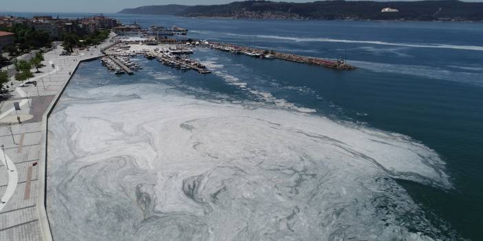 Çanakkale Boğazı’nda deniz salyası yoğunluğu