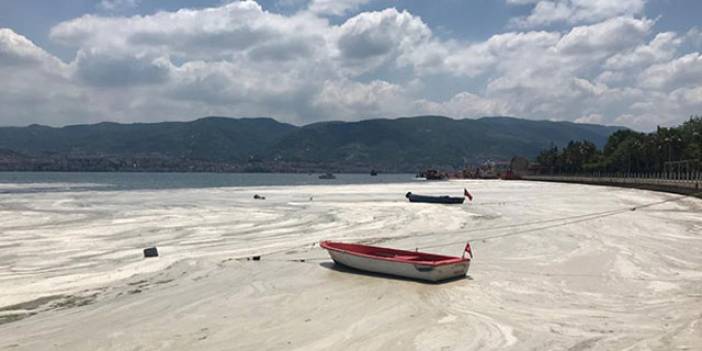 Uzmanı uyardı: Hava sıcaklığı müsilajı da artıracak