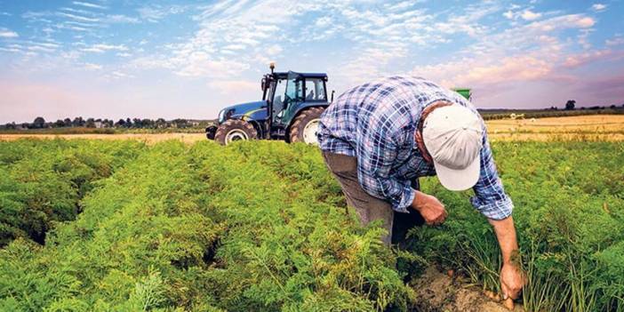 Gübre fiyatları tavan yaptı