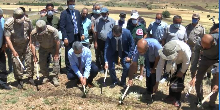 Tunceli'nin arkeolojik tarihini değiştirecek kazı başladı