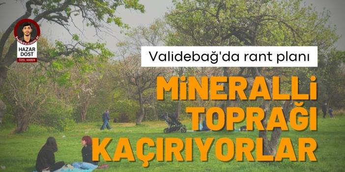 Validebağ Korusu'nda rant planı: Mineralli toprağı kaçırıyorlar