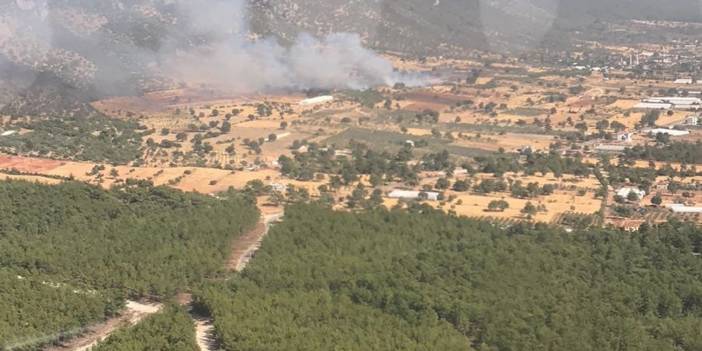 Kaş'ta 200 zeytin ağacı yandı