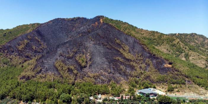 Marmaris'teki orman yangınının nedeni belli oldu