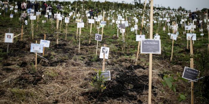 Kolombiya'da Covid-19'dan ölenlerin külleriyle ağaç dikildi