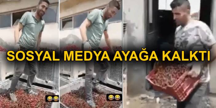 Meyve suyu tesisinde mide bulandırıcı görüntüler