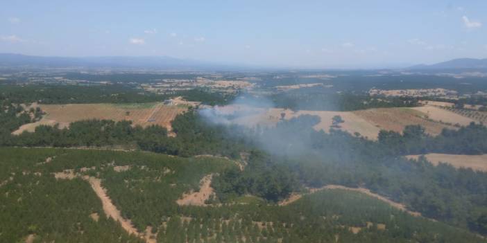 Çanakkale'de orman yangını