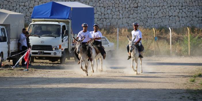 Konya'da en hızlı ve en güzel gözlü eşek yarışları yapıldı