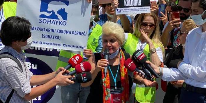 Ankara'da Hayvanları Koruma Kanunu protestosu