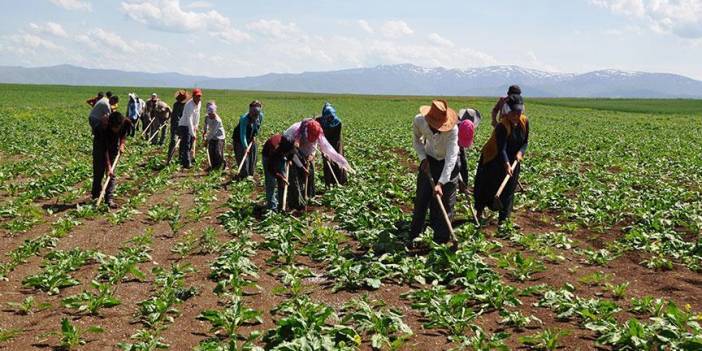 CHP’den geçici işçiler için 'işsizlik ödeneği' teklifi