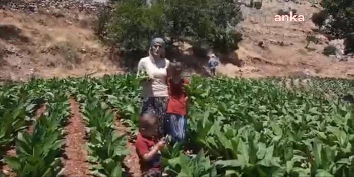 "Ekmeği için mücadele eden bir insanı hapse tıkmak, adalete sığmaz"