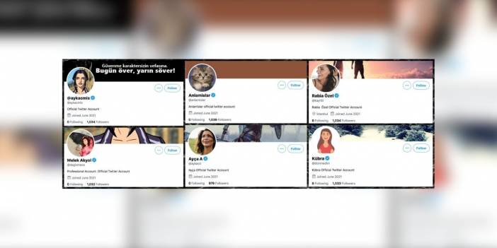 Twitter bot hesapları onayladı: Hepsinin takipçisi ortak, paylaşım yapmadılar