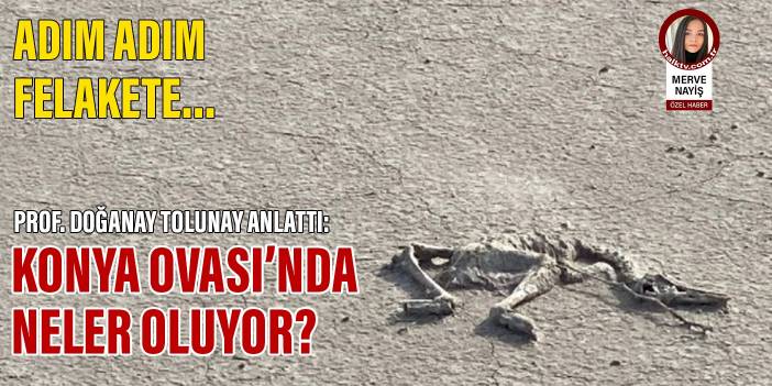 Adım adım felakete... Konya Ovası'nda neler oluyor?