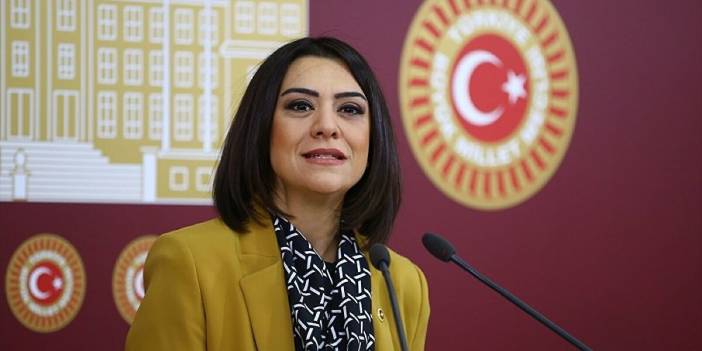 CHP’li Taşcıer, 'göçmen sorunu'nun araştırılmasını istedi