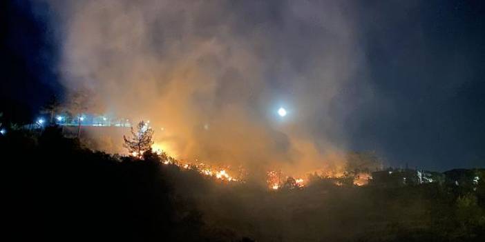 Kahramanmaraş'taki yangın kontrol altına alındı