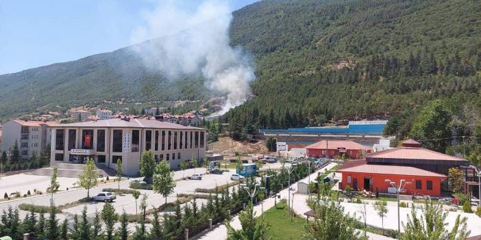 Konya'da yangın ormana sıçramadan söndürüldü