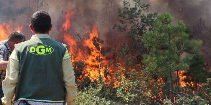 Ege ve Akdeniz'den sonra Karadeniz: Kastamonu'da orman yangını başladı