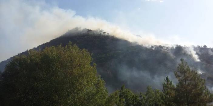 Kızılcahamam'da ormanlık alanda yangın çıktı